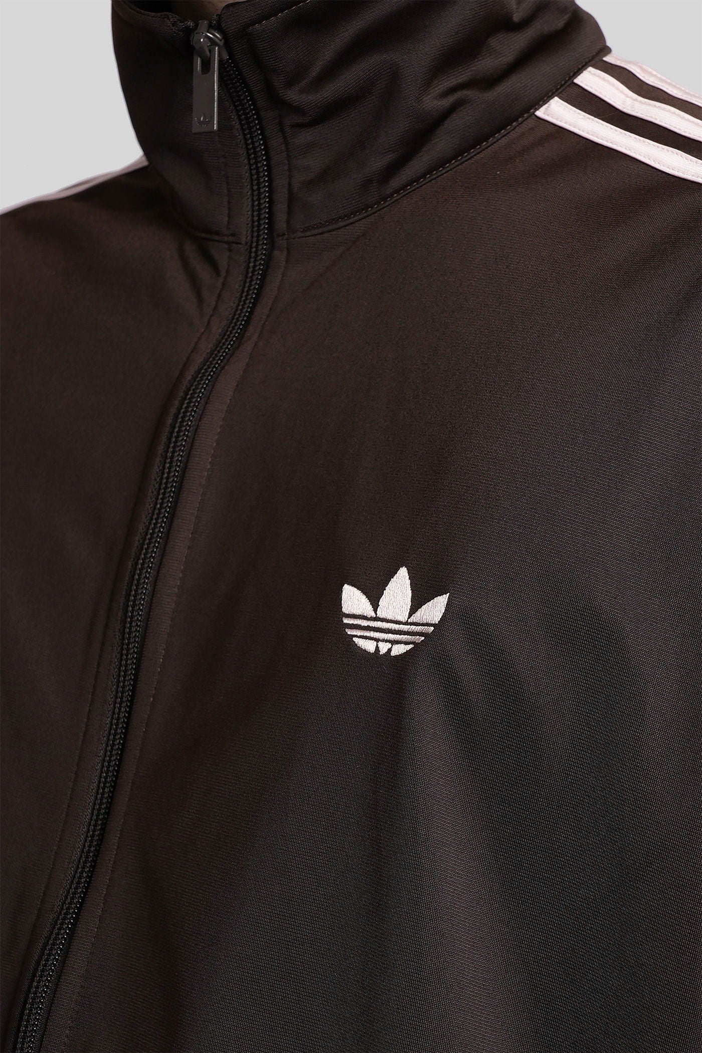Firebird TT Sweatshirt in brown polyester - Image 5