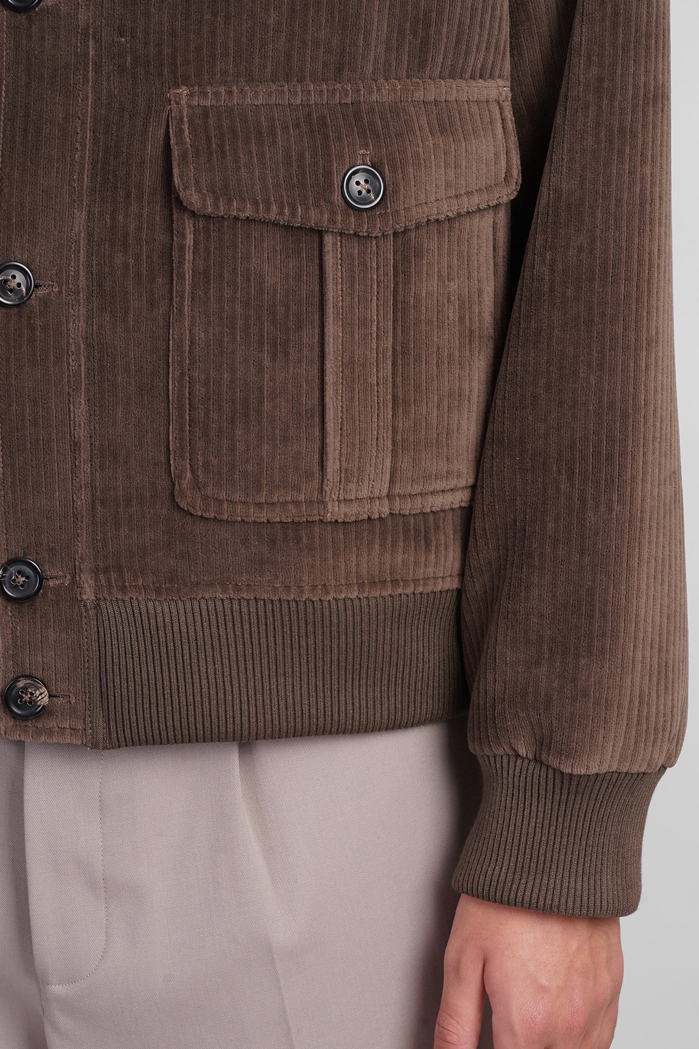 Bomber Jacket in brown cotton - Image 4