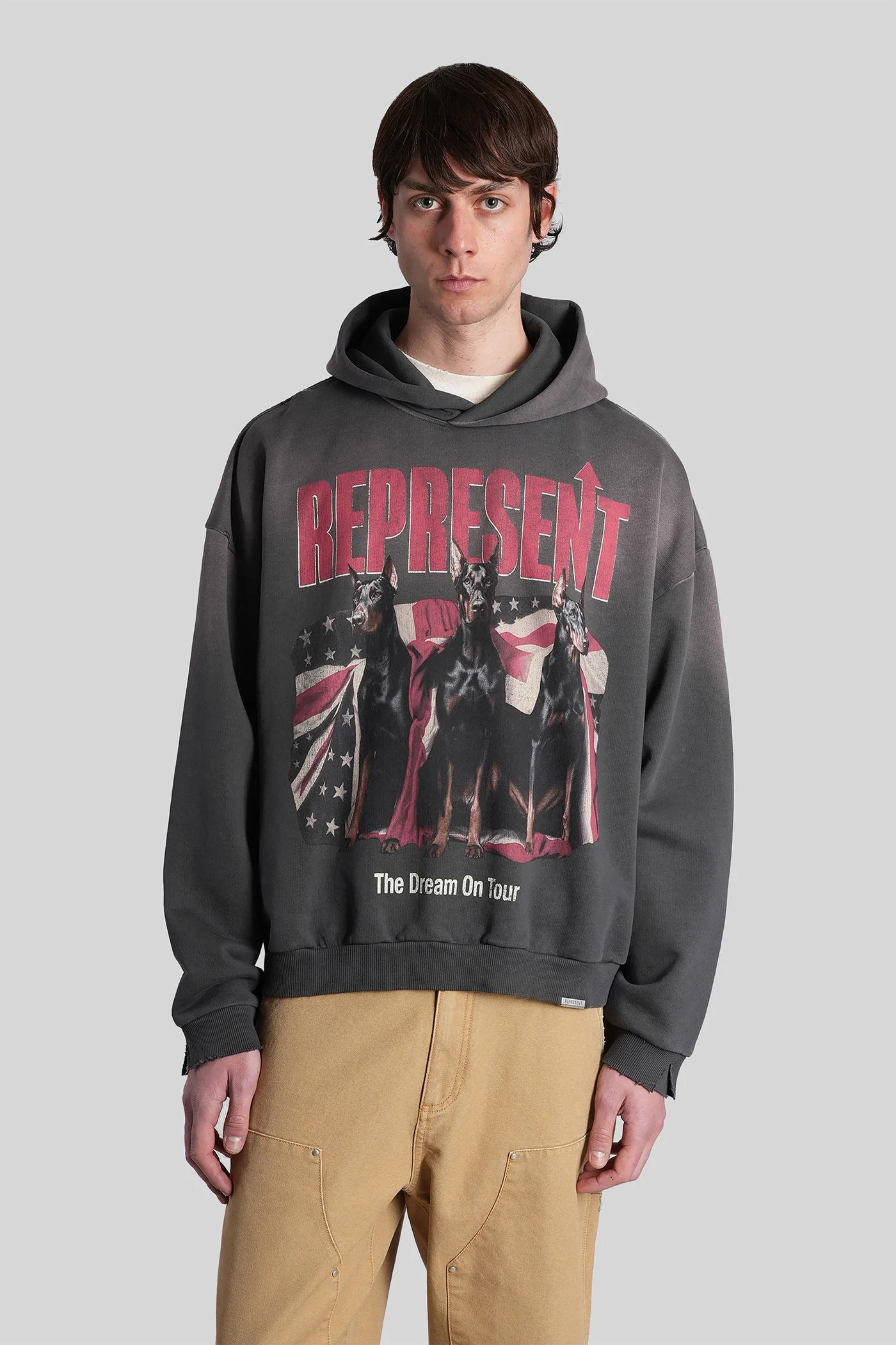 Sweatshirt in grey cotton